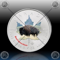 1oz KANADA $5 Maple Leaf 2014 "BIZON" BARVNI